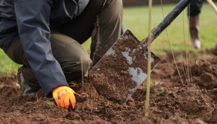 APPEL À BÉNÉVOLES - Rejoignez-nous pour une plantation de haie à Bissey-sous-Cruchaud (71) !
